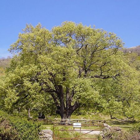 Casa Rural Romanejo Cabezabellosa Eksteriør bilde
